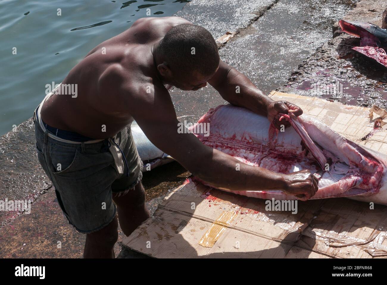 Palmeira, Capo Verde - Dicembre 2011: Il pescatore sta tagliando uno squalo sul mercato del pesce Foto Stock