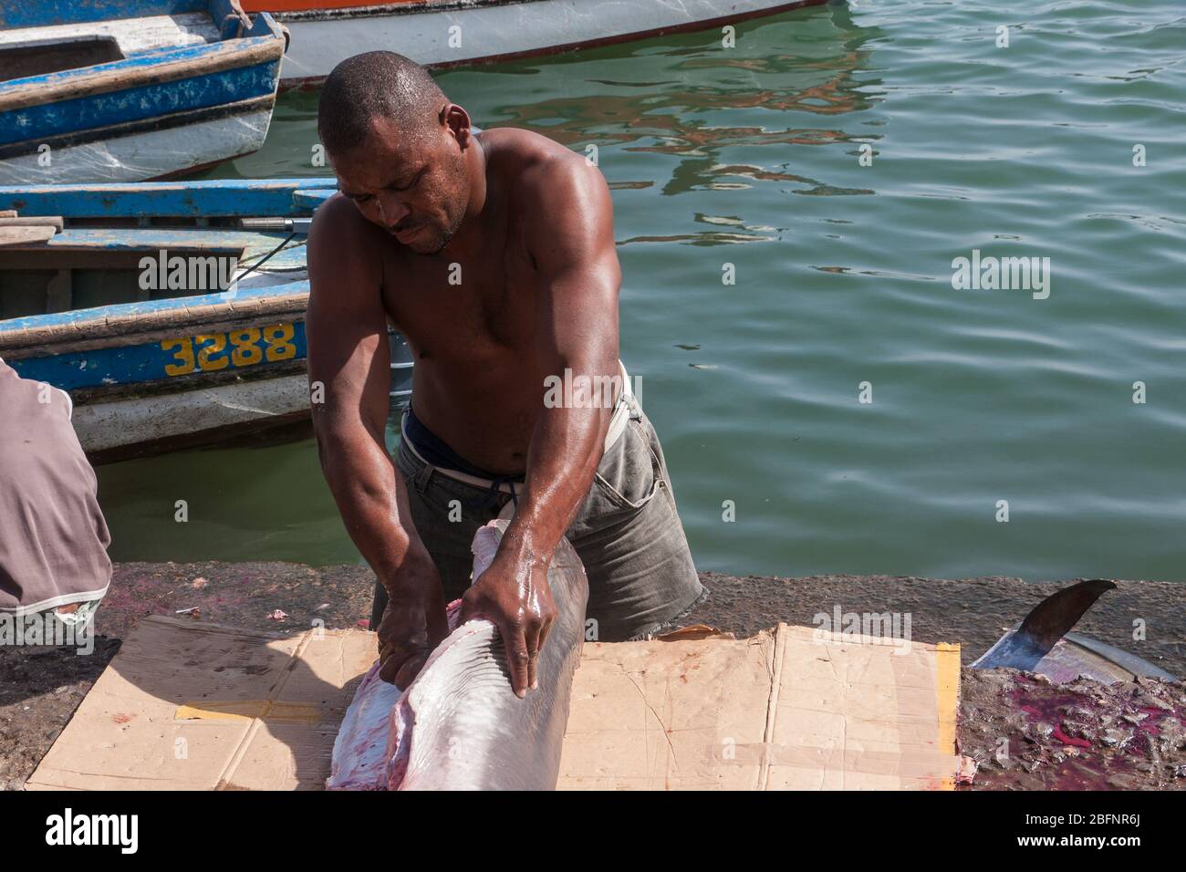 Palmeira, Capo Verde - Dicembre 2011: Il pescatore sta tagliando uno squalo sul mercato del pesce Foto Stock