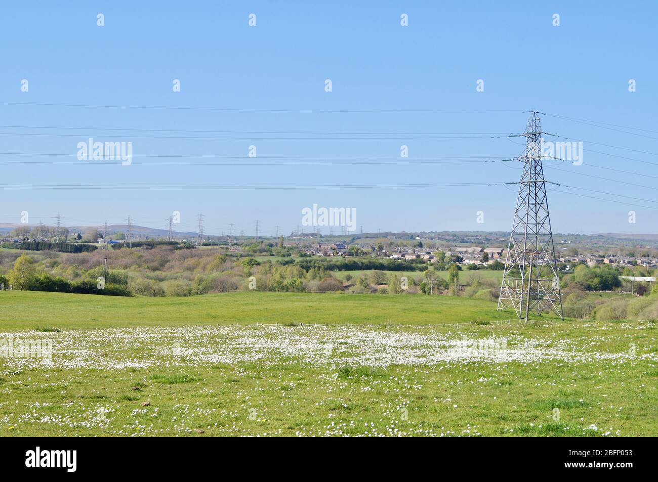 Campo pittoresco con margherite e tralicci sullo sfondo in una città dell'inglese settentrionale - passeggiata vagabondare erba daisy primavera caldo Foto Stock