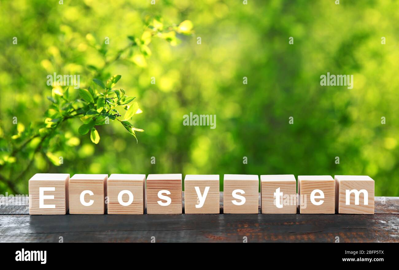 Ecosistema di parola su blocchi di legno. Concetto ecologico. Foto Stock