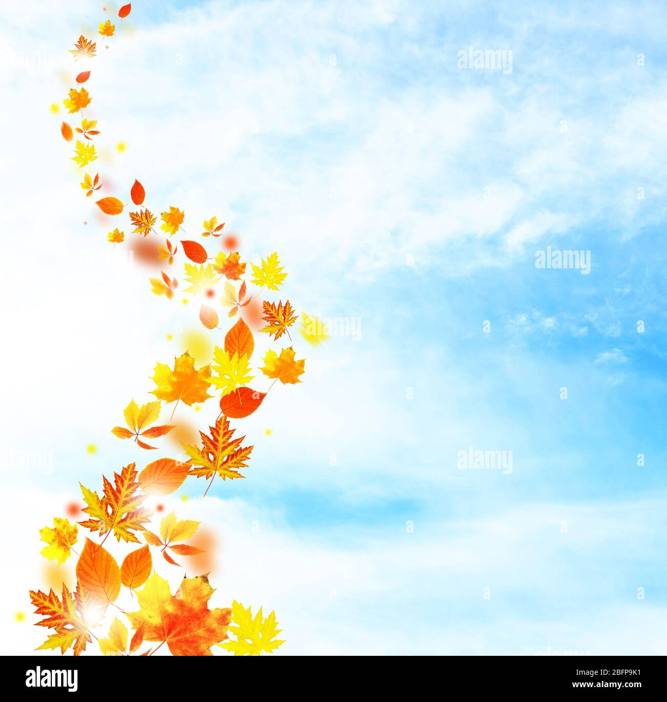 Autunno cadere foglie su sfondo cielo blu Foto Stock