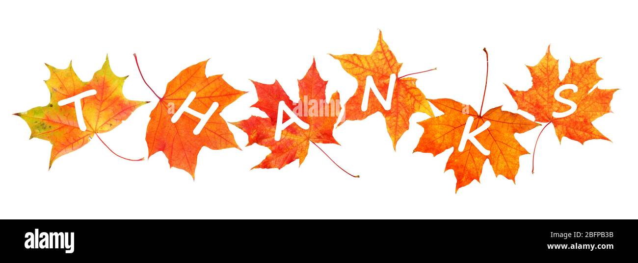 Buon giorno del Ringraziamento. Autunno foglie con testo isolato su bianco Foto Stock