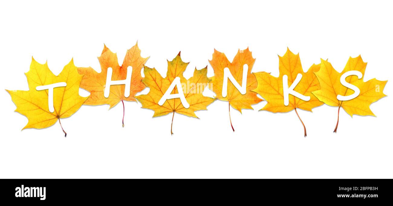 Buon giorno del Ringraziamento. Autunno foglie con testo isolato su bianco Foto Stock