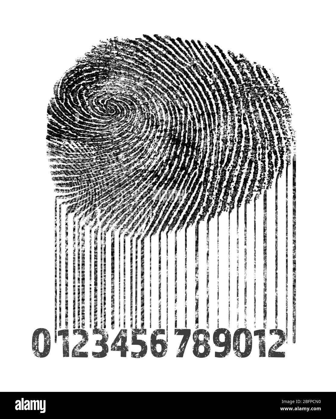 Impronta digitale e codice a barre su sfondo bianco. Concetto di individualità. Foto Stock
