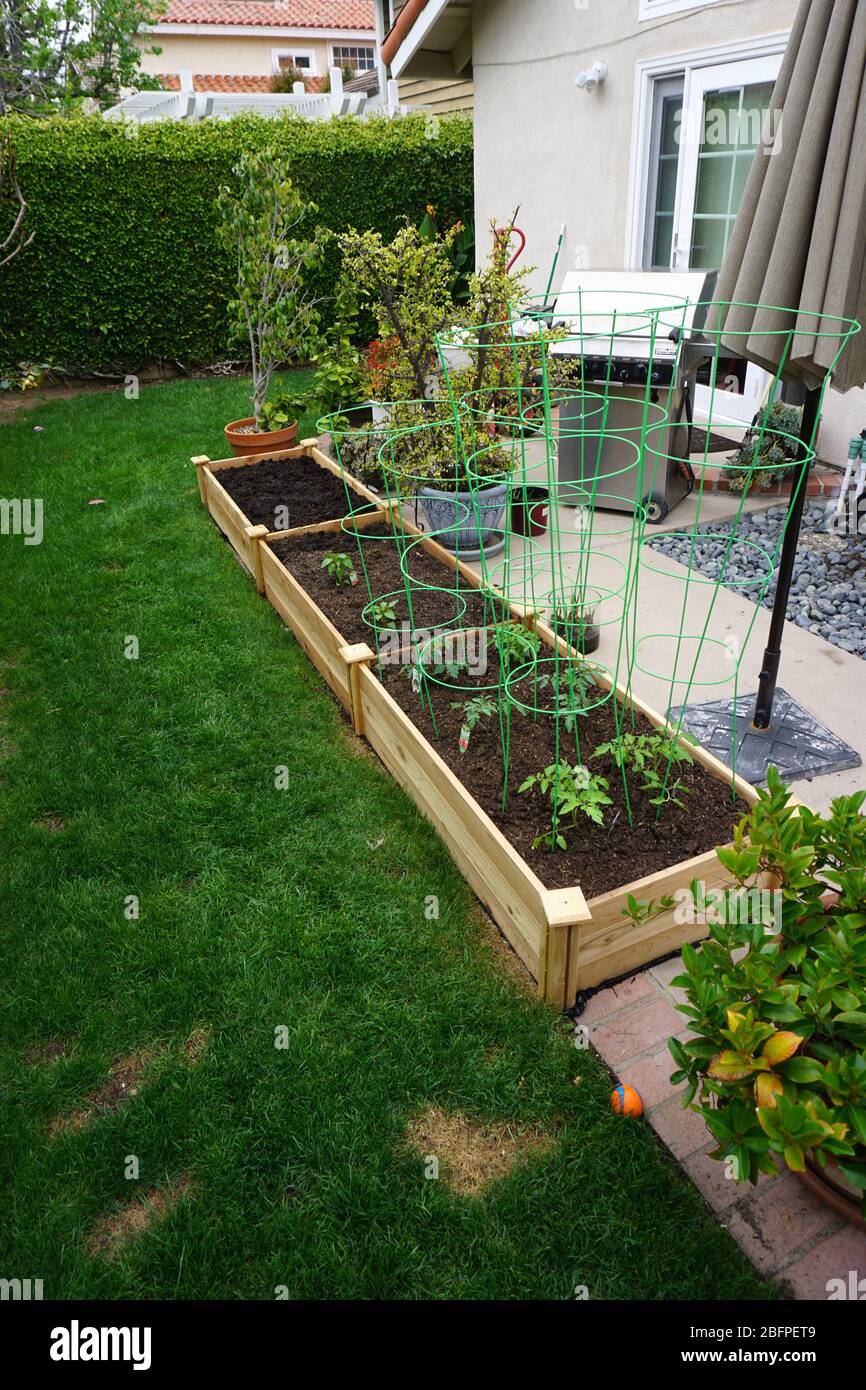 Cortile scatole da giardino di verdure Foto Stock