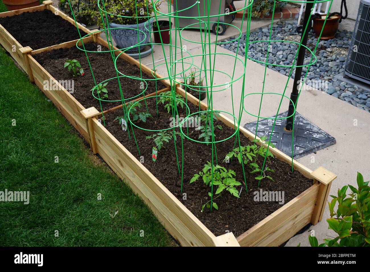 Cortile scatole da giardino di verdure Foto Stock