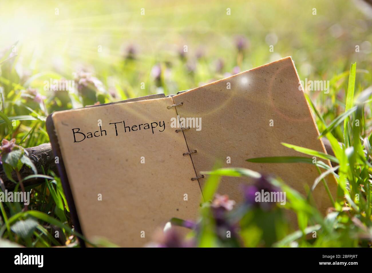 Bach fiori rimedi - vecchio libro, ricetta. Libro di ricette tradizionali - rimedi naturali. Foto Stock