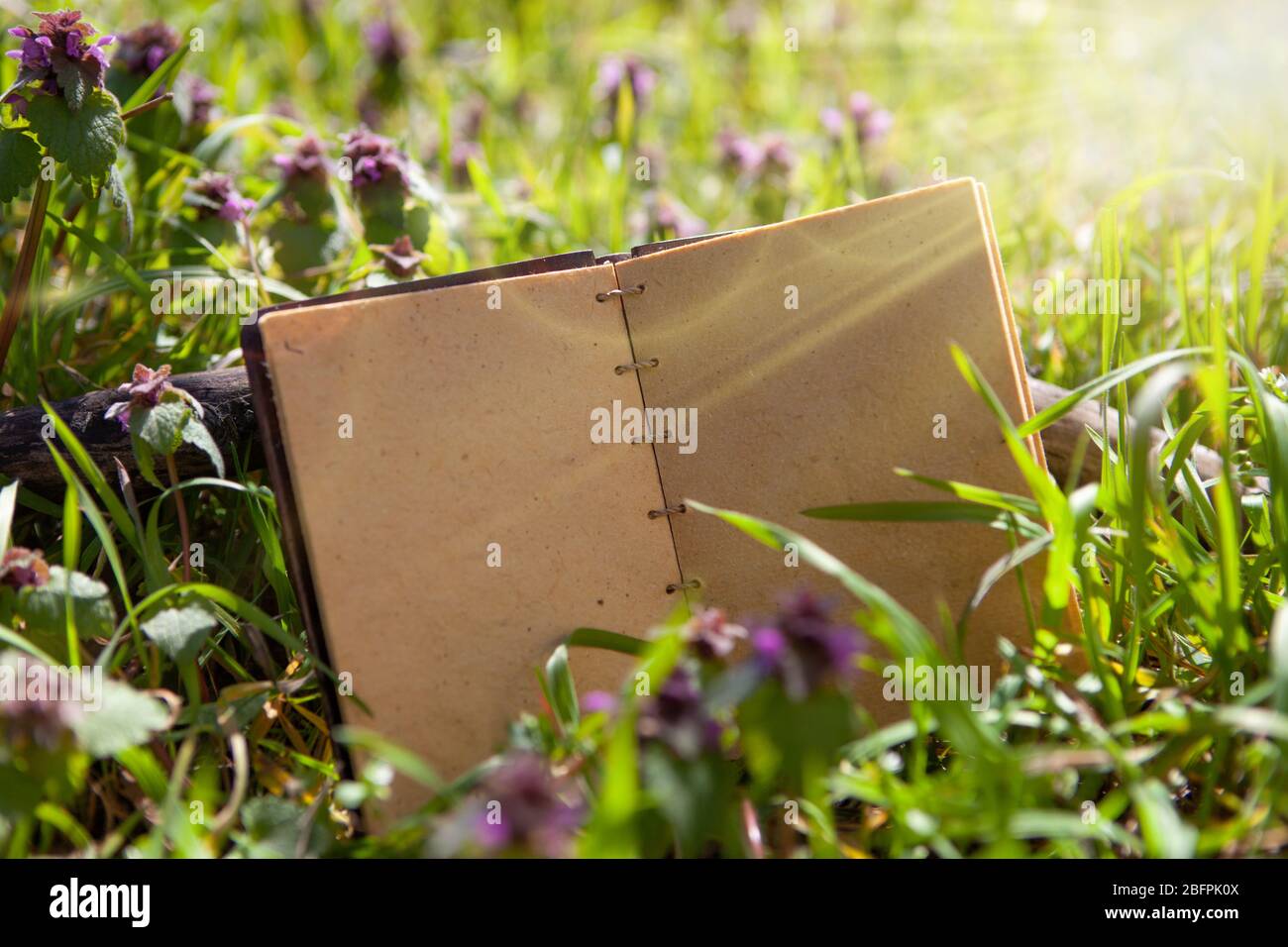 Proprietà alle erbe, stile vintage. Vecchio notebook in erba. Foto Stock