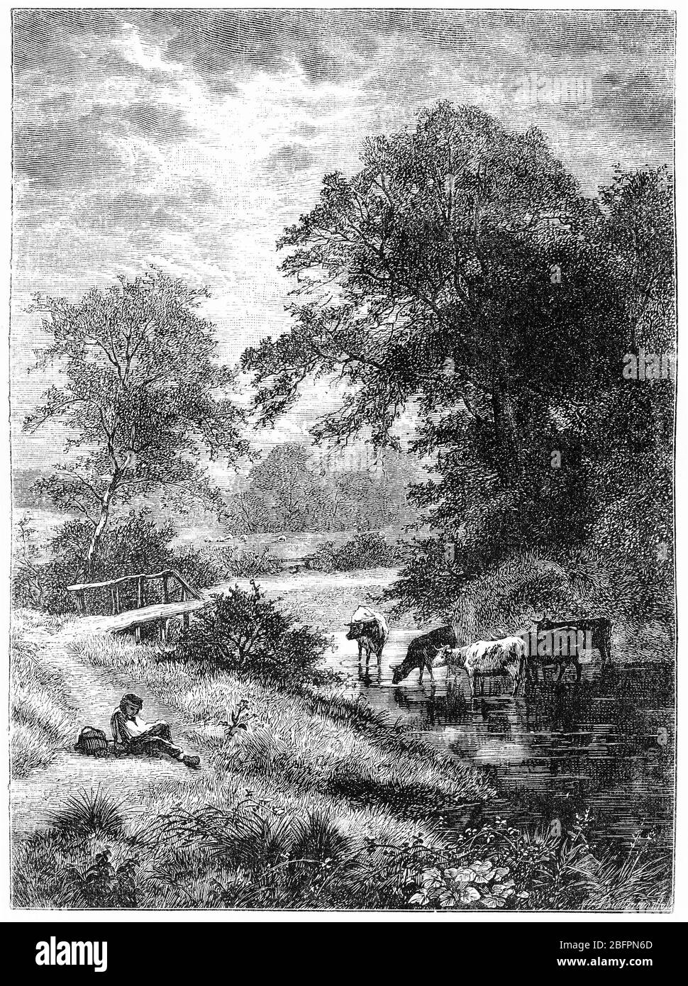 Incisione di una scena pastorale in Inghilterra, con un ragazzo da un ruscello che tende le sue mucche Foto Stock