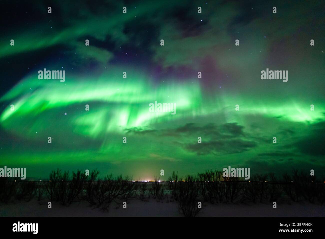Aurora boreale o aurora boreale che mostra verde e rosa con stelle che mostrano nell'Islanda meridionale Foto Stock