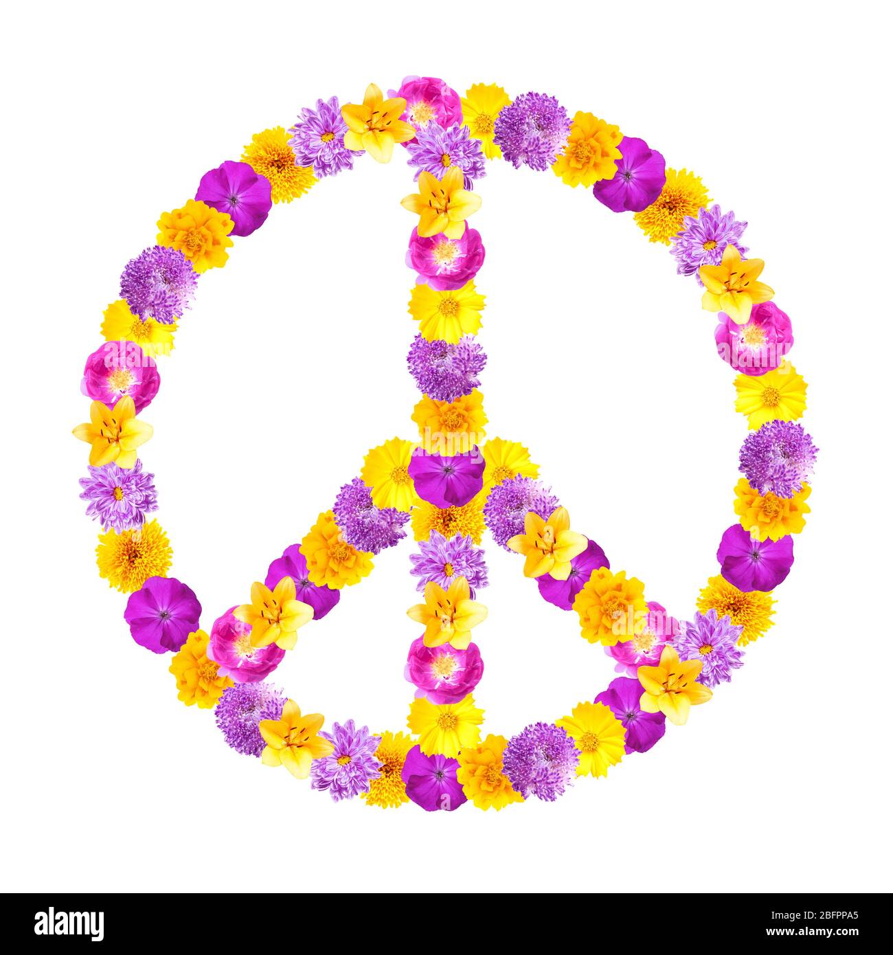 Simbolo di pace di fiori bellissimi su sfondo bianco Foto Stock