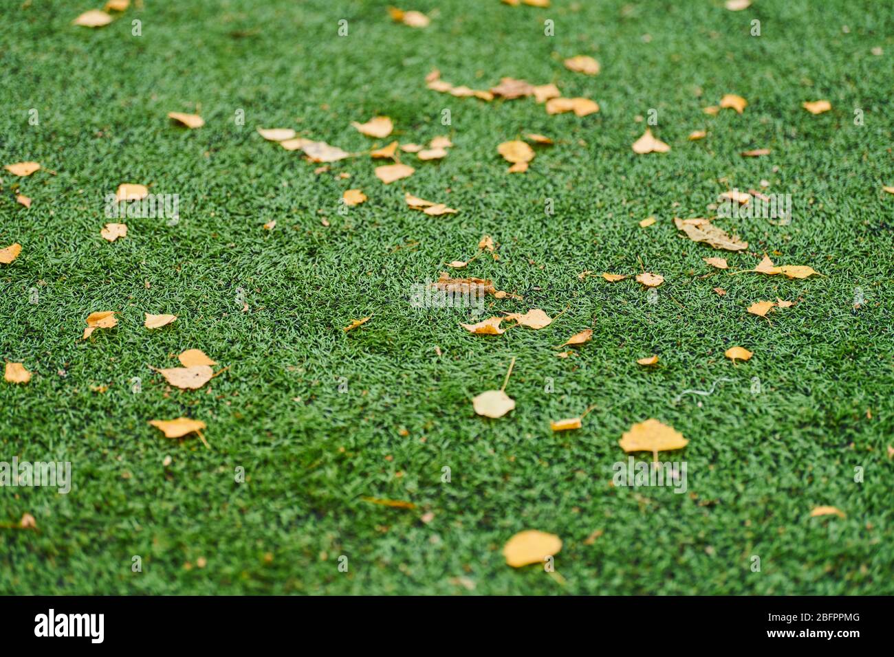 Erba artificiale, campo sportivo coperto con marcatura. Tappeto erboso artificiale utilizzato in diversi sport: Calcio, calcio, rugby, tennis, baseball, football americano Foto Stock