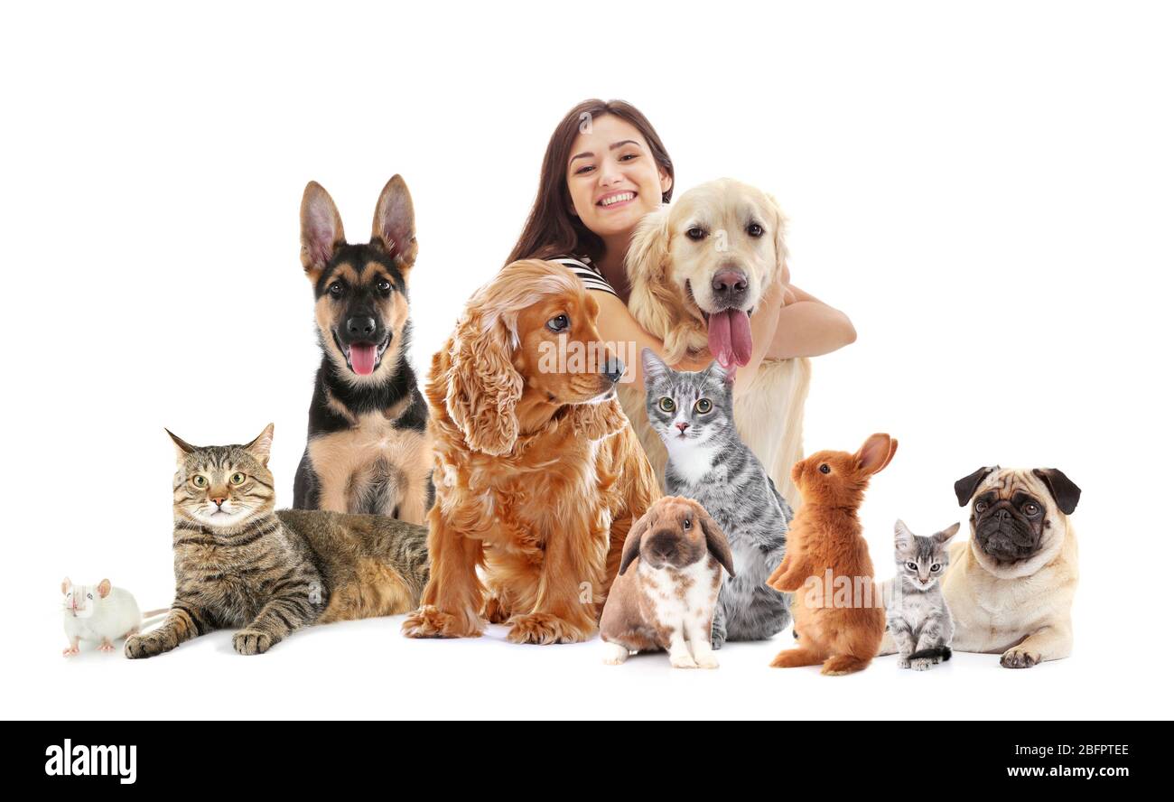 Giovane donna con animali carini su sfondo bianco Foto Stock