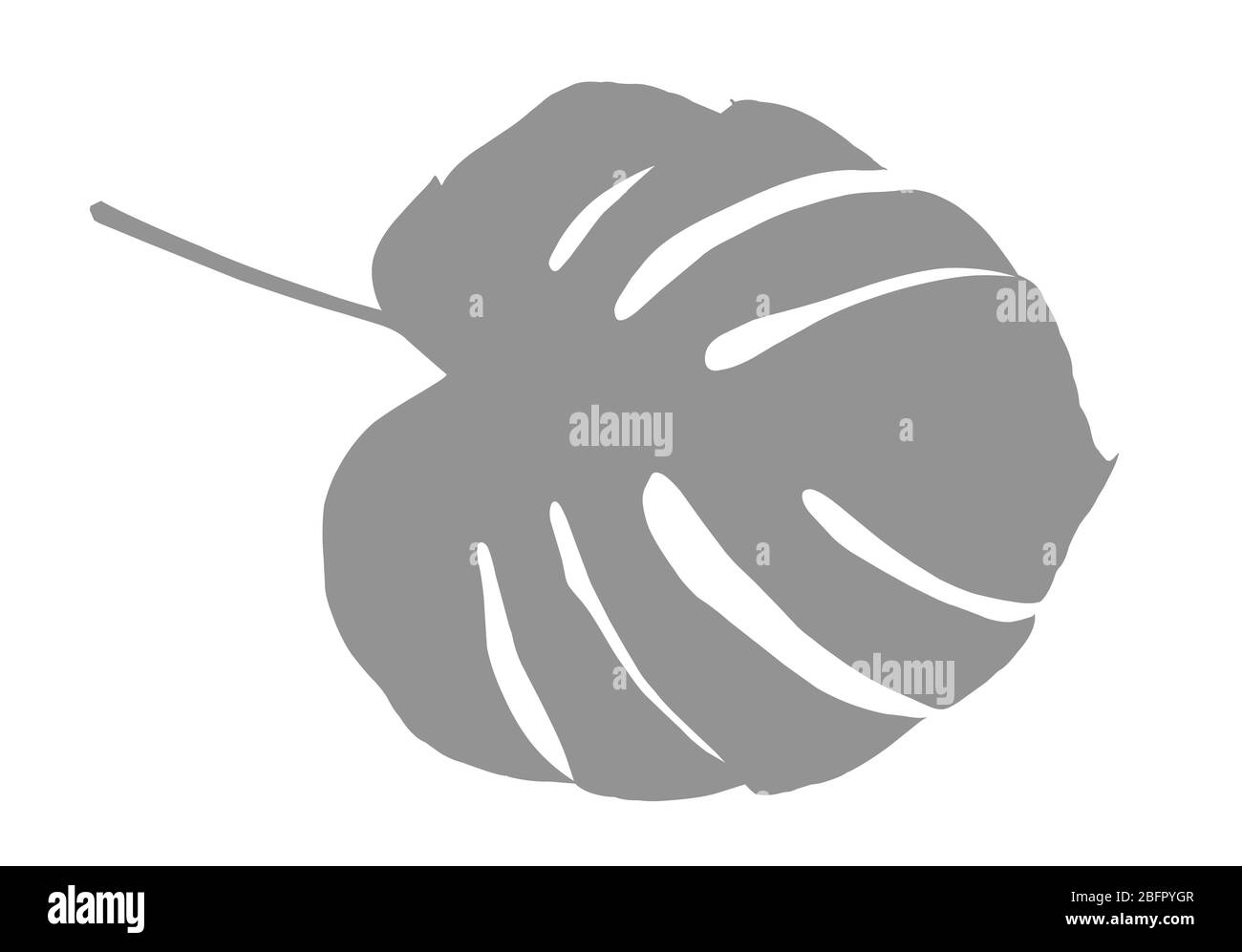 Silhouette di colore tropicale foglia su sfondo bianco Foto Stock