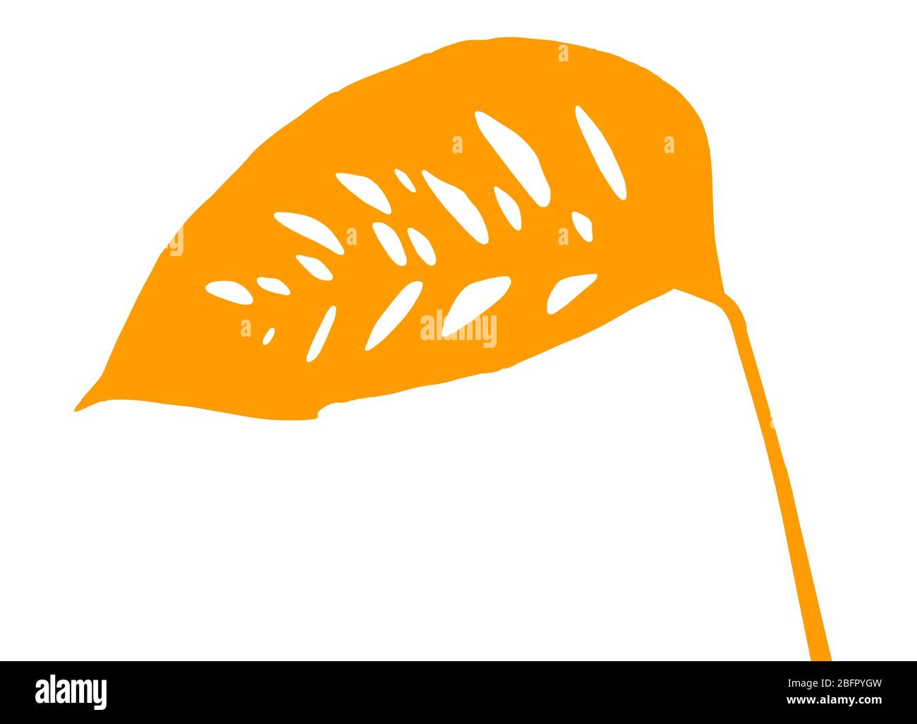 Silhouette di colore tropicale foglia su sfondo bianco Foto Stock