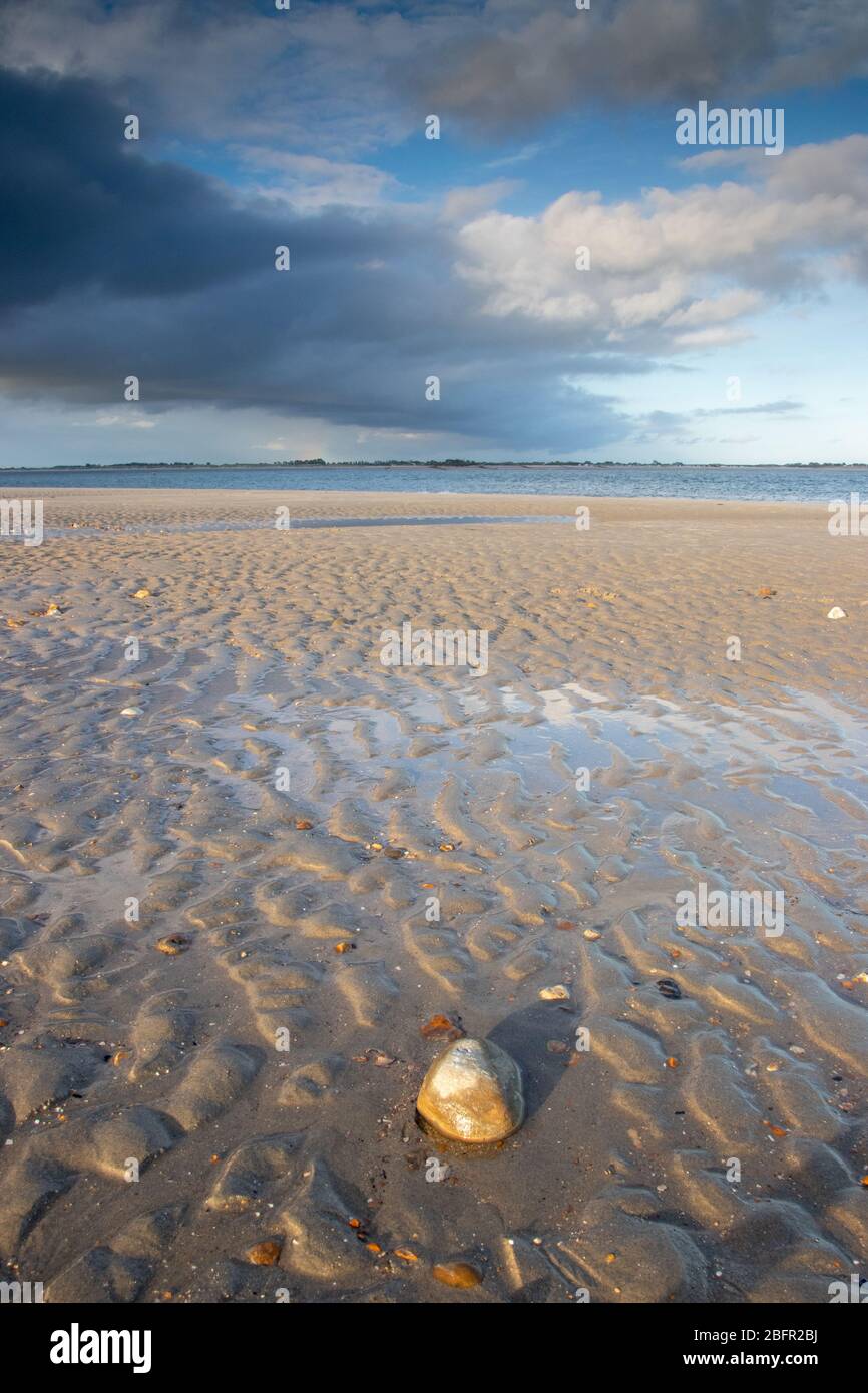 Una spiaggia di sabbia vuota con una piscina d'acqua, la consistenza della sabbia è mostrata in primo piano, isola di hayling, Hampshire, Regno Unito Foto Stock