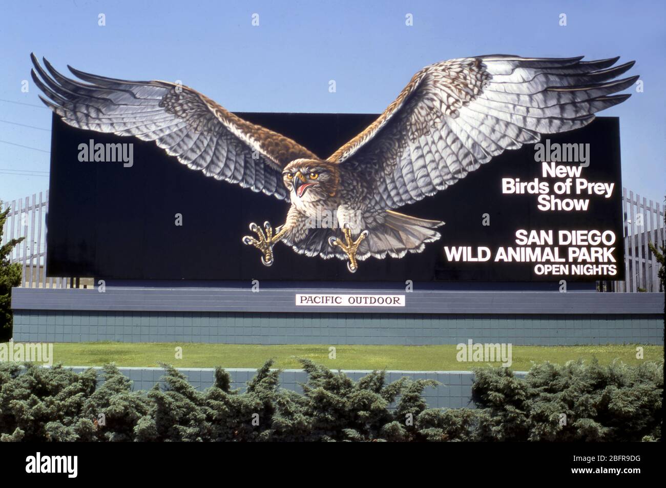 Cartellone dipinto a mano per il San Diego Wild Animal Park di Los Angeles, California, circa anni '70 Foto Stock