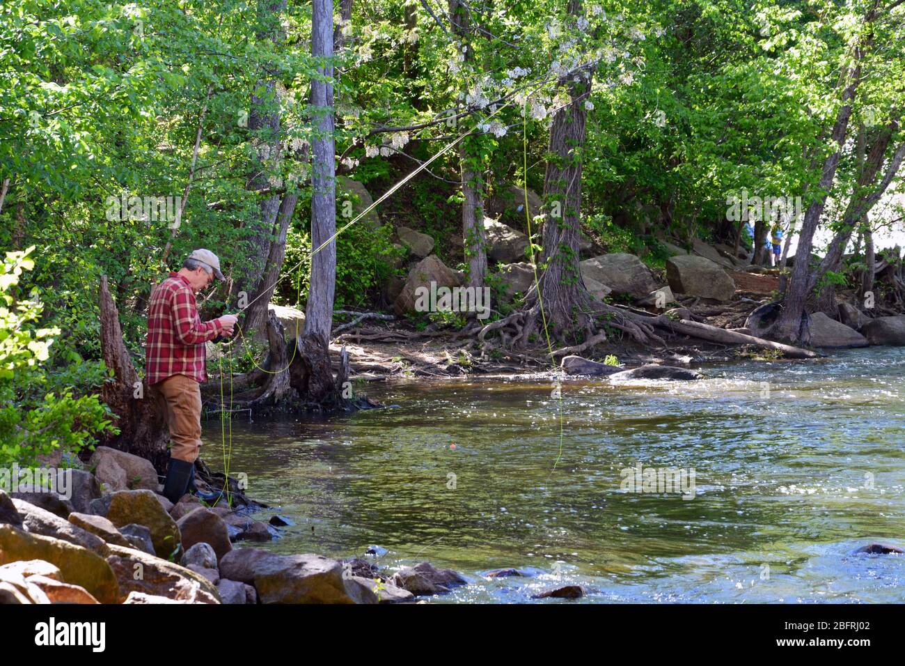 Un uomo pesca a mosca sul fiume Neuse al di fuori di Raleigh North Carolina. Foto Stock