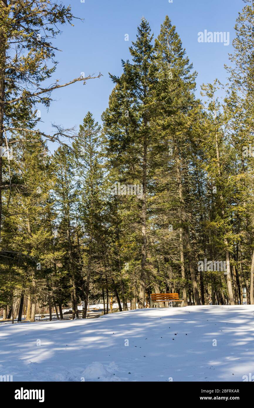 Panca nel parco campo primaverile in neve in giornata di sole. Foto Stock