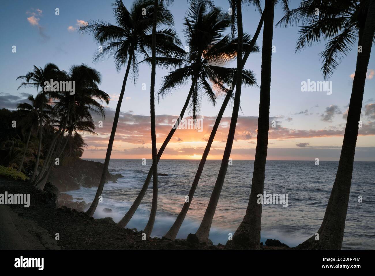 L'alba colorata rivela onde che si infrangono contro la costa di lava e la costa di Puna costeggiata da palme sulla Big Island delle Hawaii. Foto Stock