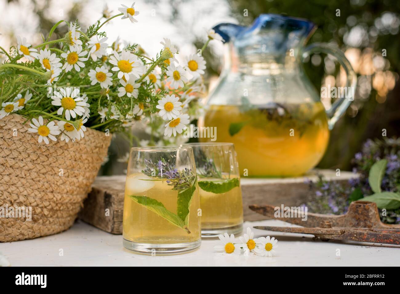 bevande, agrumi, primo piano, cocktail, freddo, fresco, bevanda, fiore, fresco, freschezza, frutta, giardino, vetro, verde, sano, fatto in casa, brocca, succo di frutta, centrifuga, Foto Stock