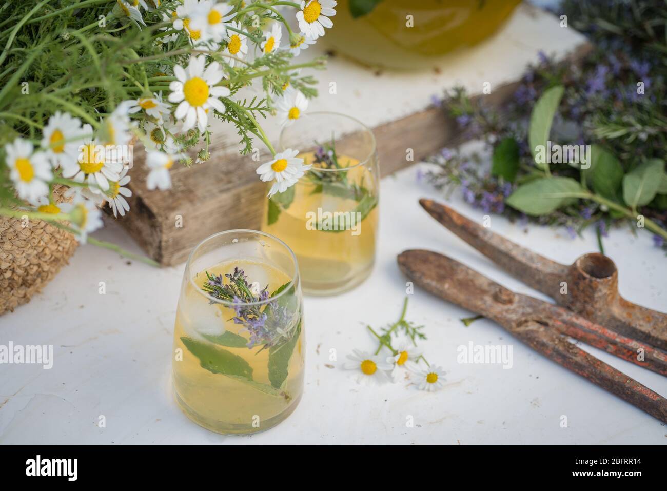 bevande, agrumi, primo piano, cocktail, freddo, fresco, bevanda, fiore, fresco, freschezza, frutta, giardino, vetro, verde, sano, fatto in casa, brocca, succo di frutta, centrifuga, Foto Stock