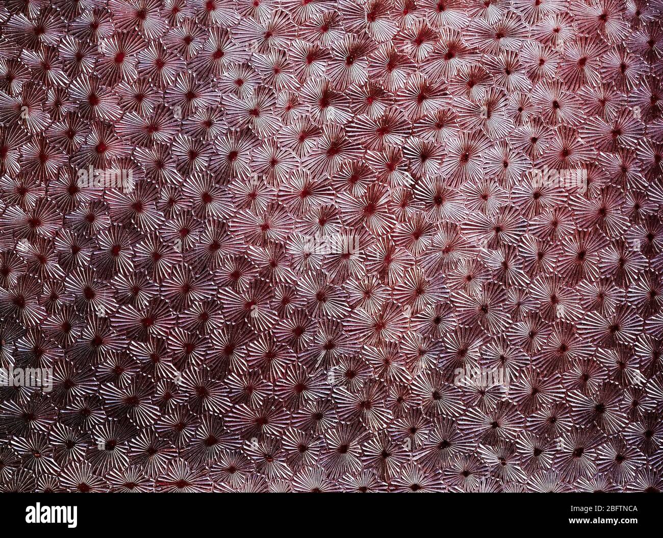 Materiale di sfondo con motivi ripetitivi, superficie del vetro stampato. Foto Stock