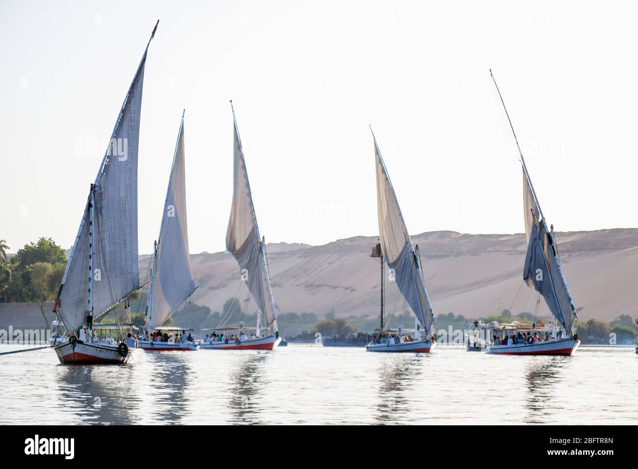 Quattro barche Felucca vela sul fiume Nilo ad Assuan, Egitto. Foto Stock