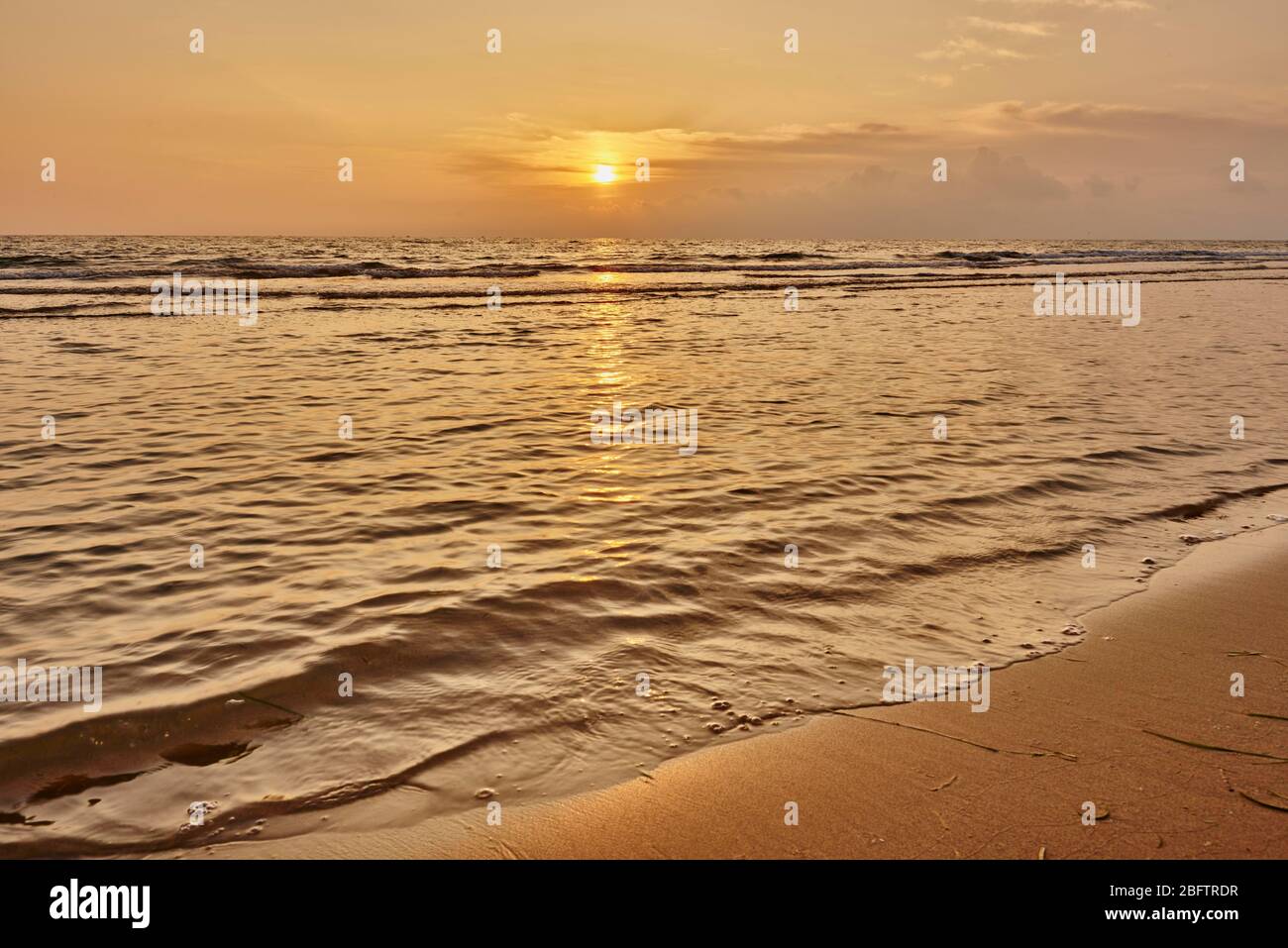 Alba sulla spiaggia a delta del fiume ebro, Catalogna Spagna Foto Stock