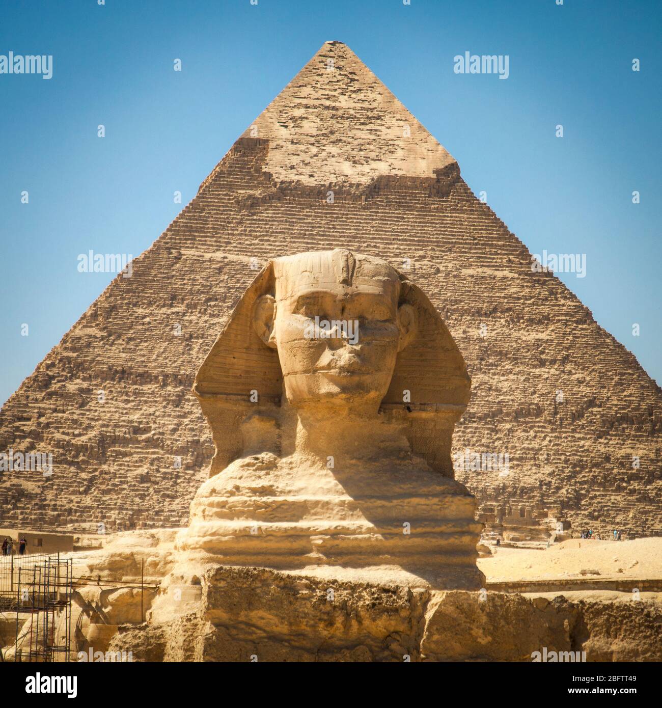 La Grande Sfinge di fronte alla Piramide di Khafre Foto Stock