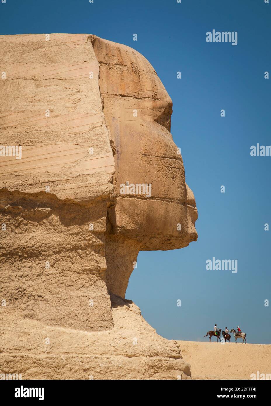 La grande Sfinge di Giza in Vista Profilo Foto Stock