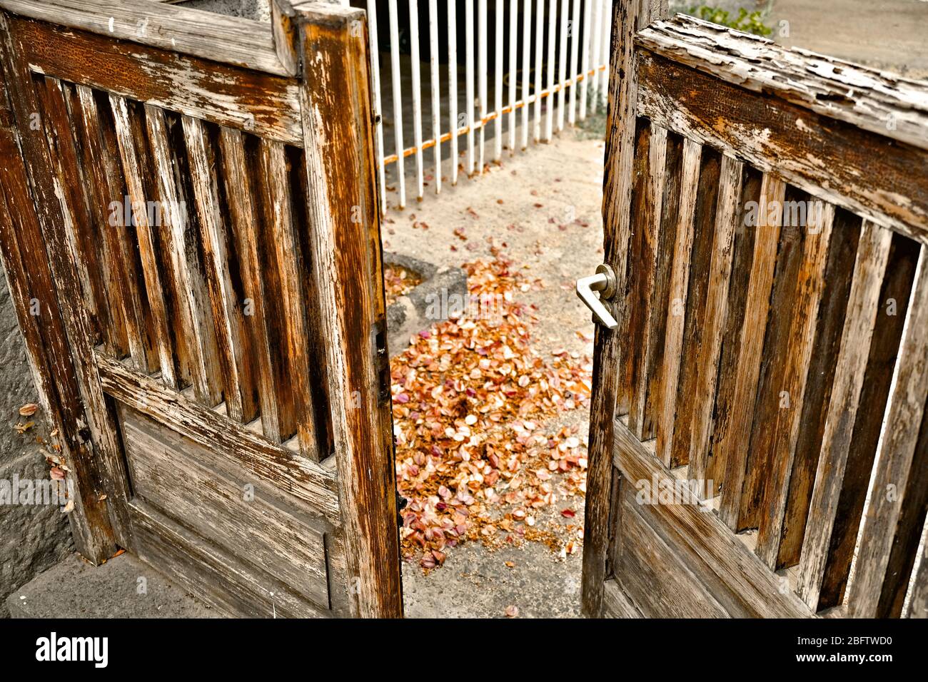 Cancello di legno mezzo aperto con foglie di autunno asciutte. Foto Stock