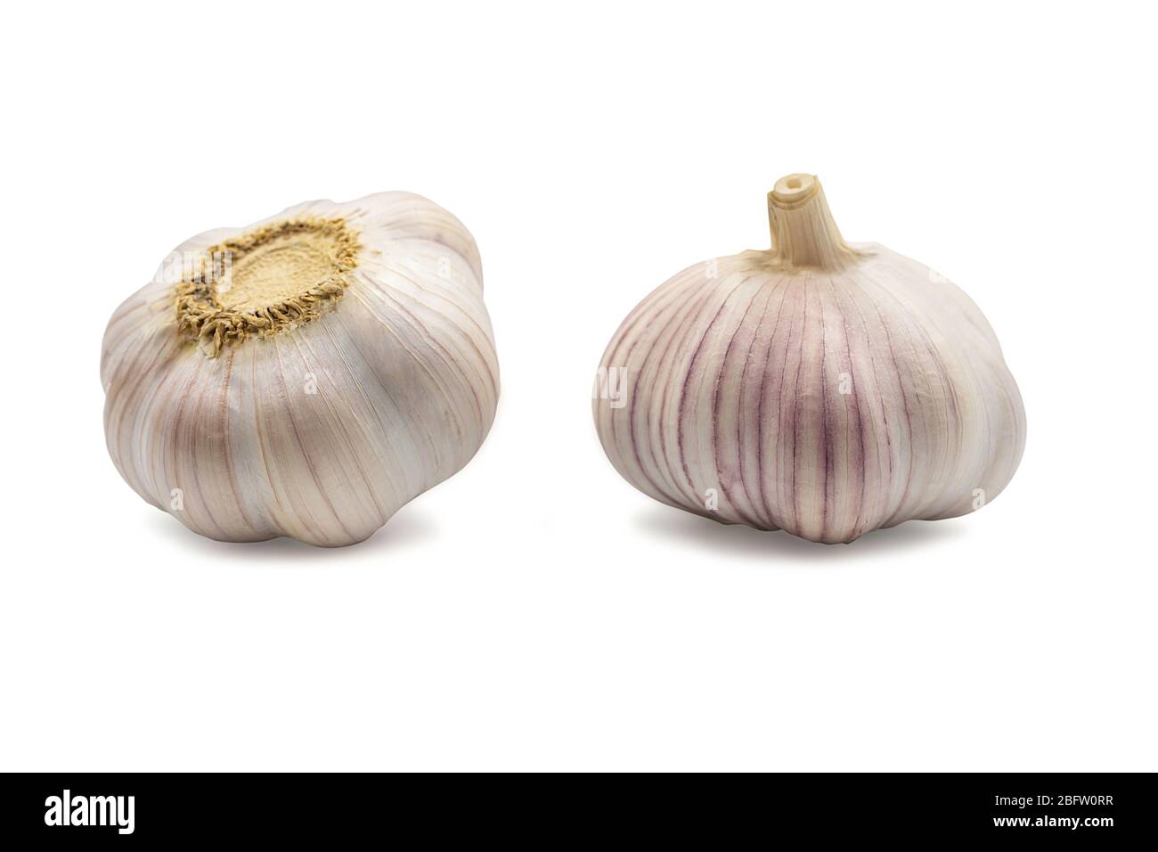 Aglio intero crudo biologico con buccia su fondo isolato bianco con percorso di taglio. L'aglio è un'erba aromatica popolare o spezie per la cucina e la cucina Foto Stock