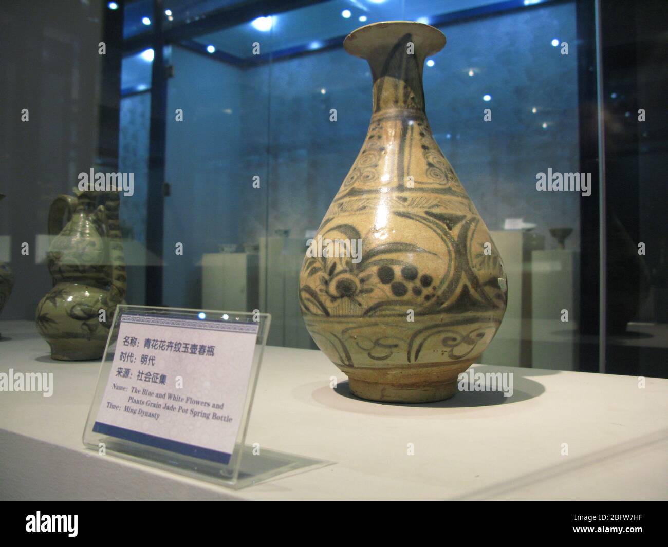 Vaso di fiori blu e bianco con vaso di giada nella dinastia Ming, scoperto dal Zhongke Mountain Jianchuan County Yunnan Dali Museum Yunnan Foto Stock