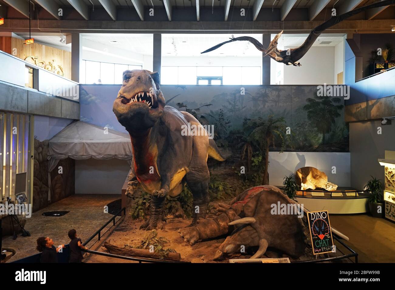 Dettagli del dinosauro T-Rex al 'Saint Louis Science Center' combina sperimentazione, creatività e attività di gioco per scoprire la tecnologia -MO,USA Foto Stock