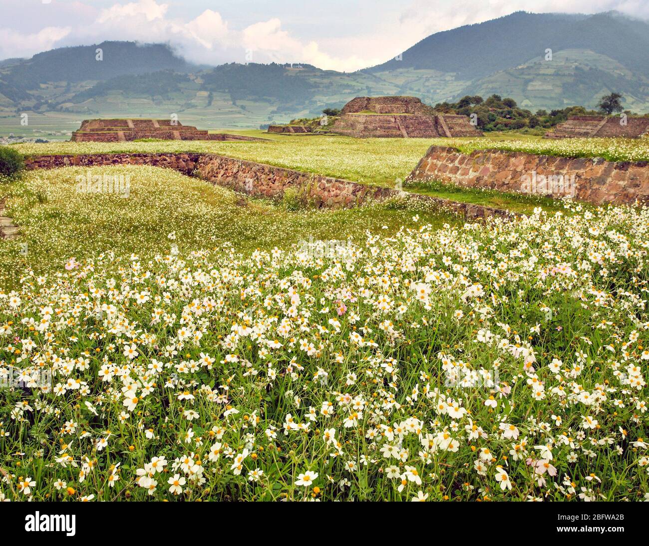 Fiori adornano le rovine di Teotenango nello Stato del Messico. Foto Stock