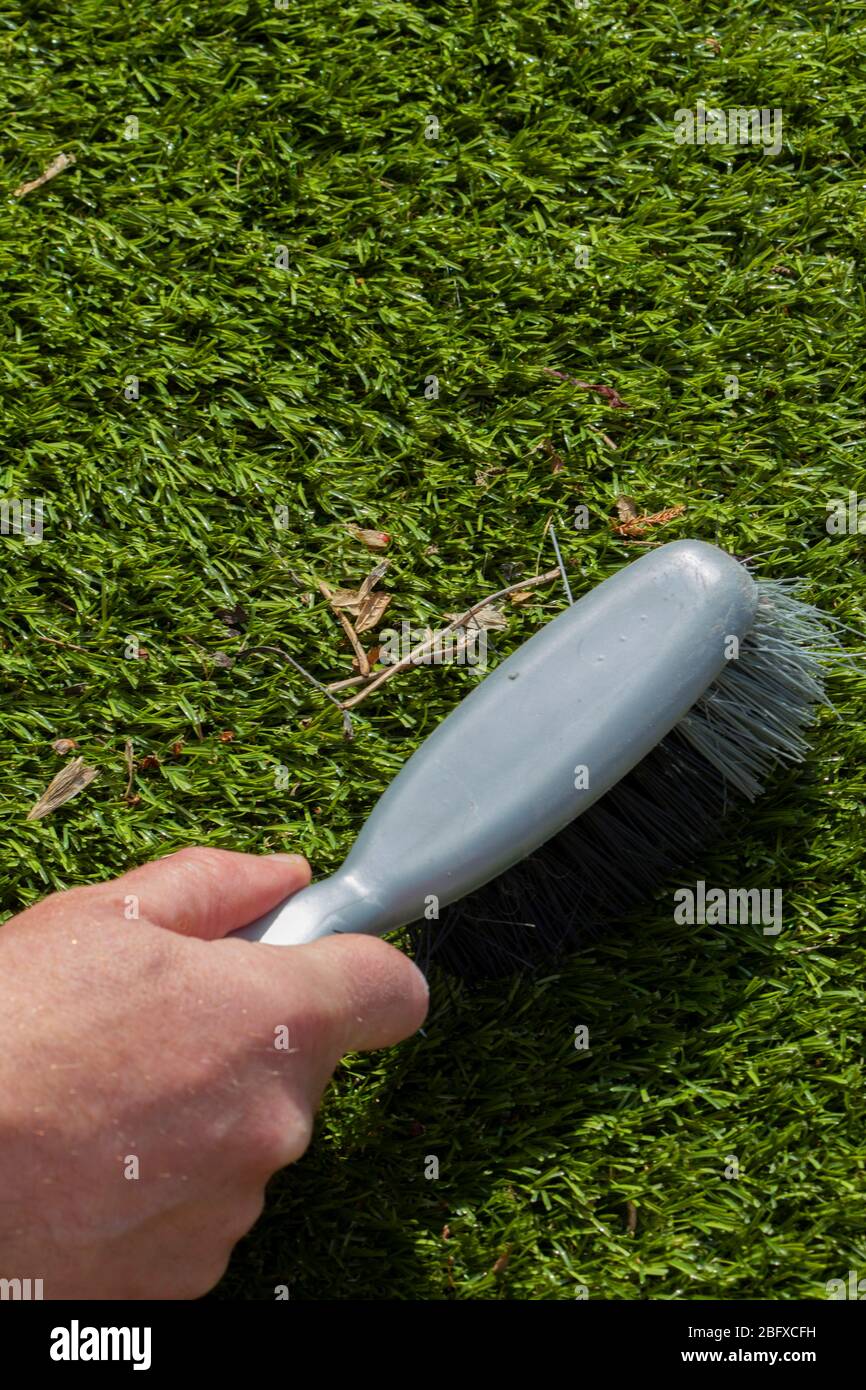 Uomo spazzolando spazzatura su erba erbosa artigianale con una spazzola a mano al sole. Concetto di giardino Foto Stock