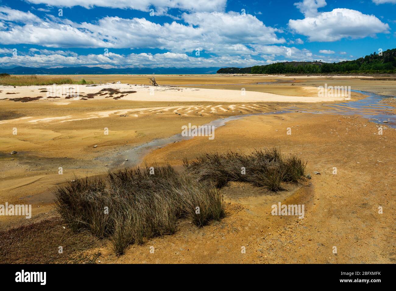 L'entrata della Golden Bay e' la porta d'ingresso al Parco Nazionale Abel Tasman, Nuova Zelanda. Foto Stock