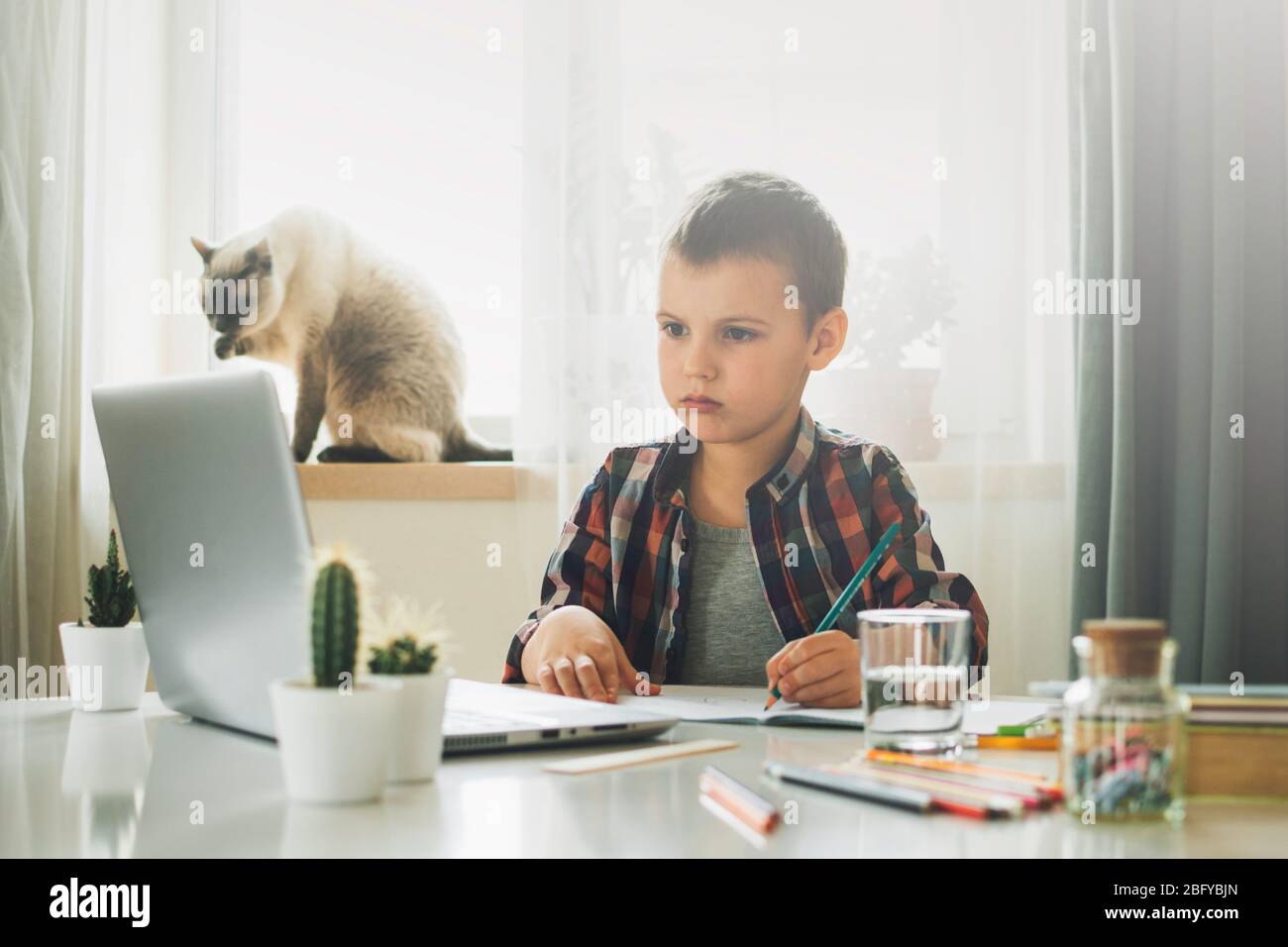 Ragazzo che studia a casa con il notebook e fa i compiti a scuola. Formazione online a distanza. Il gatto è seduto sul finestrino. Foto Stock