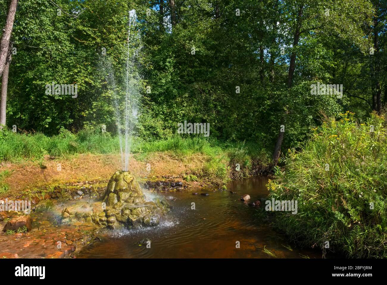 Fontana Sudogodsky. La fontana è una sorgente che sgorga da un lago sotterraneo. Il geyser ha fatto la sua uscita dal terreno più di 100 anni fa. Th Foto Stock