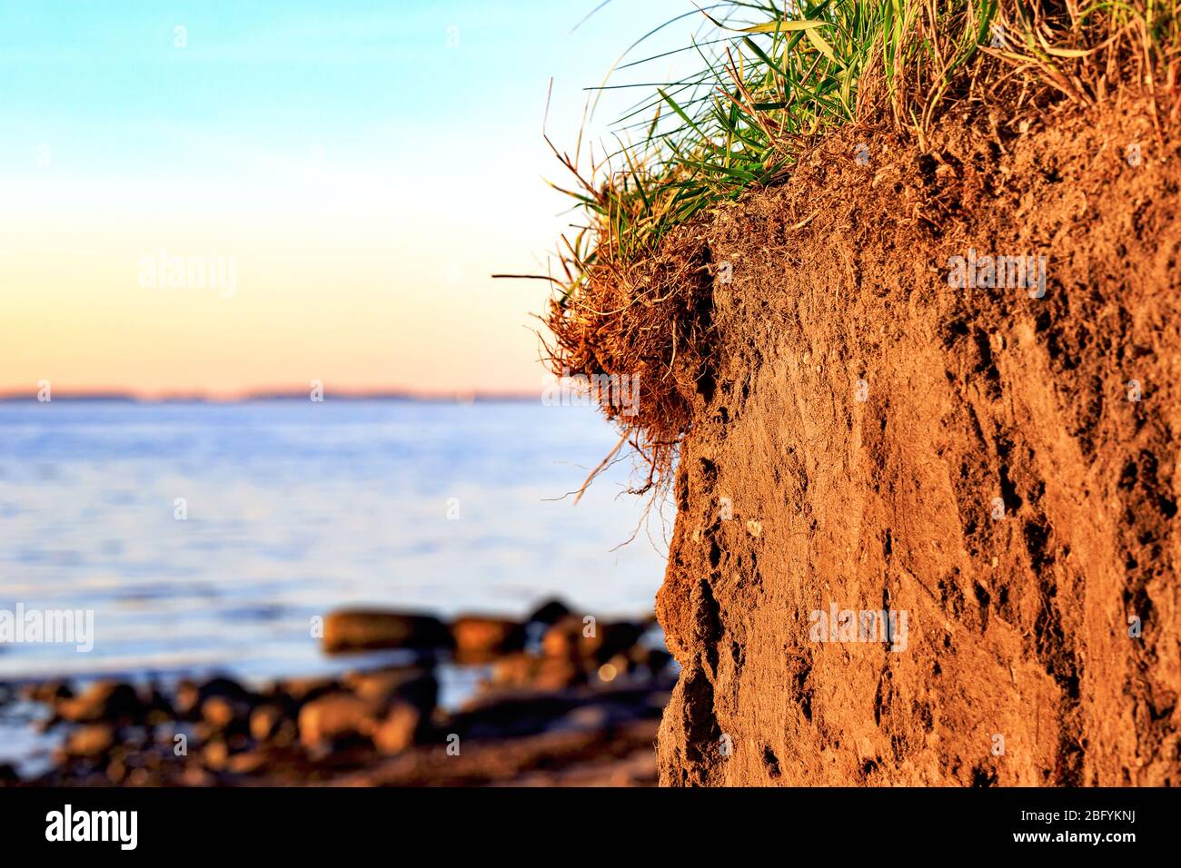 Profilo del suolo di un Cambisol o Inceptisol formato di Till su una scogliera nel Mar Baltico vicino Fehmarn in Germania Foto Stock