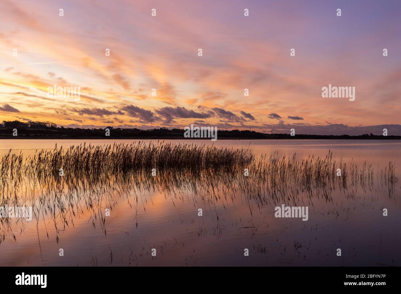 Isola di nostra Signora Wexford Irlanda Foto Stock