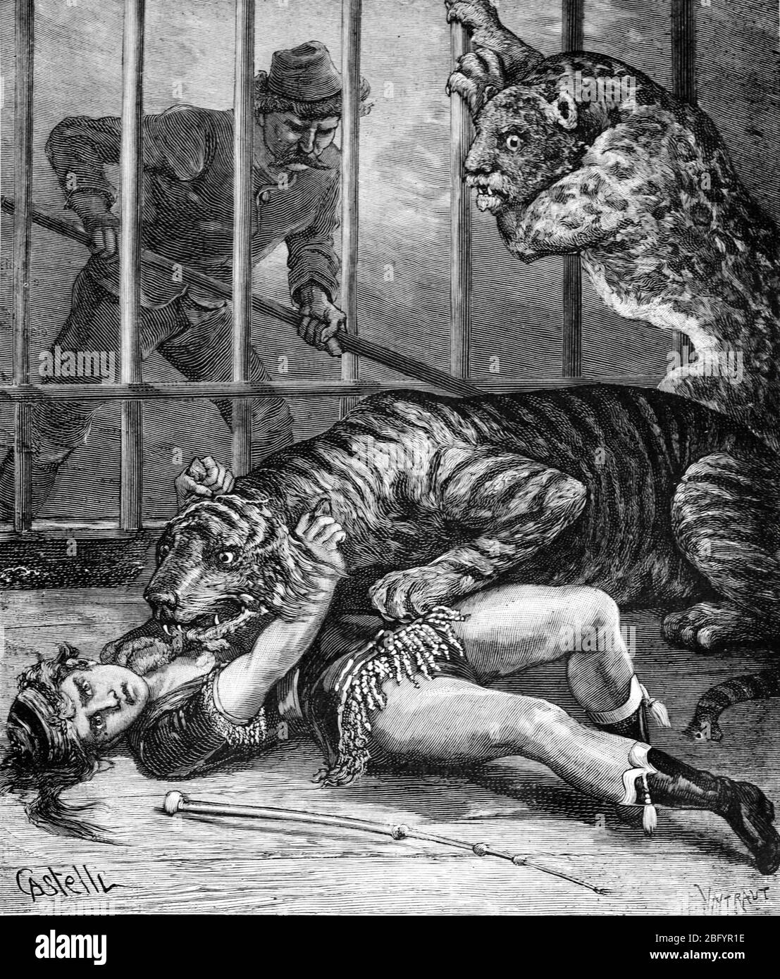 Regina dei Lions, Tamer Leone o Trainer Leone, Helen Blight Mauled & Killed by Tigers a Cage Londra Inghilterra. Vintage of Old Illustration o Engraving 1889 Foto Stock