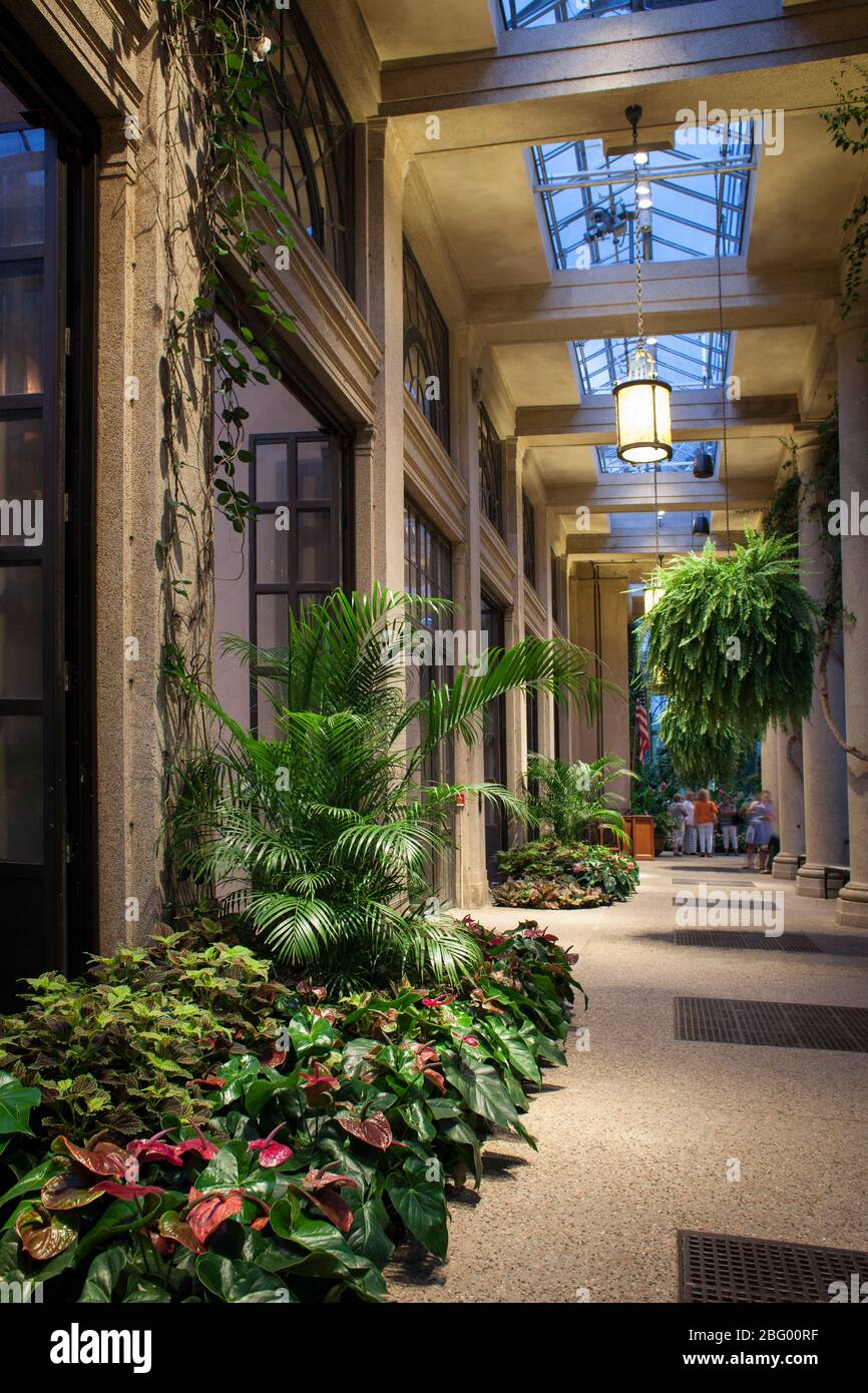 Vista verticale serale del giardino d'inverno illuminato, Longwood Gardens, Chester County, Pennsylvania Foto Stock