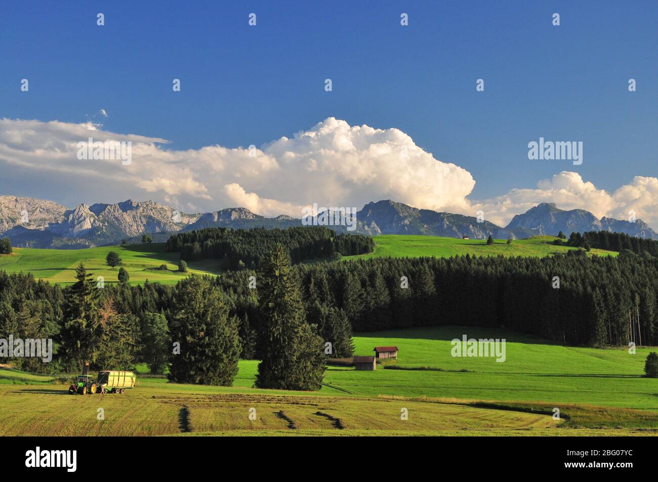 Il fieno raccolto in Algovia, Svevia, Baviera, Germania, Europa Foto Stock