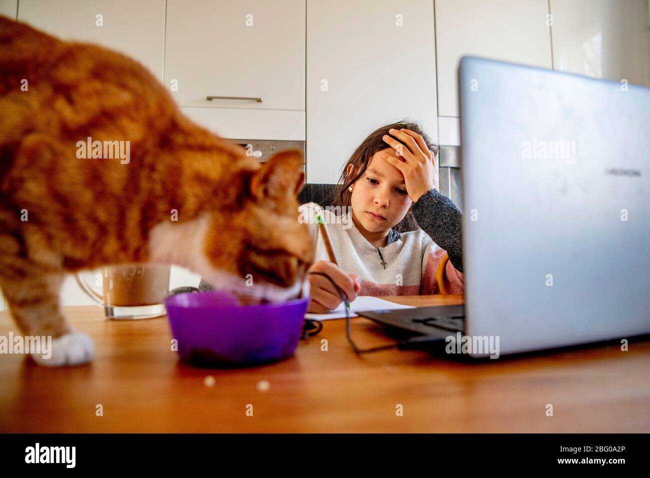 Rotterdam, Paesi Bassi. 20 aprile 2020. Una ragazza di 9 anni scrive le sue note online mentre è a casa sotto la supervisione della sua scuola elementare teacher.The governo olandese ha ordinato che tutte le scuole siano chiuse fino a nuovo avviso nel tentativo di controllare la diffusione del Coronavirus COVID-19. Gli studenti sono a casa istruiti con mezzi digitali come laptop, tablet digitali o telefoni cellulari. Credit: SOPA Images Limited/Alamy Live News Foto Stock