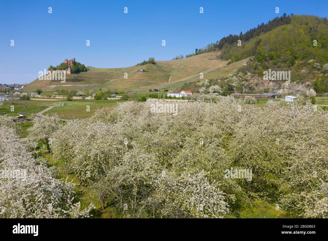 Veduta aerea del drone, Castello di Ortenberg in primavera, Ortenberg, Foresta Nera, Baden-Wurttemberg, Germania, Europa Foto Stock