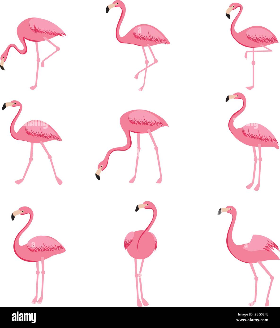 Cartoon rosa fenicottero set. Collezione di graziosi fenicotteri. Flamingo animale esotico, natura selvaggia fauna illustrazione Illustrazione Vettoriale
