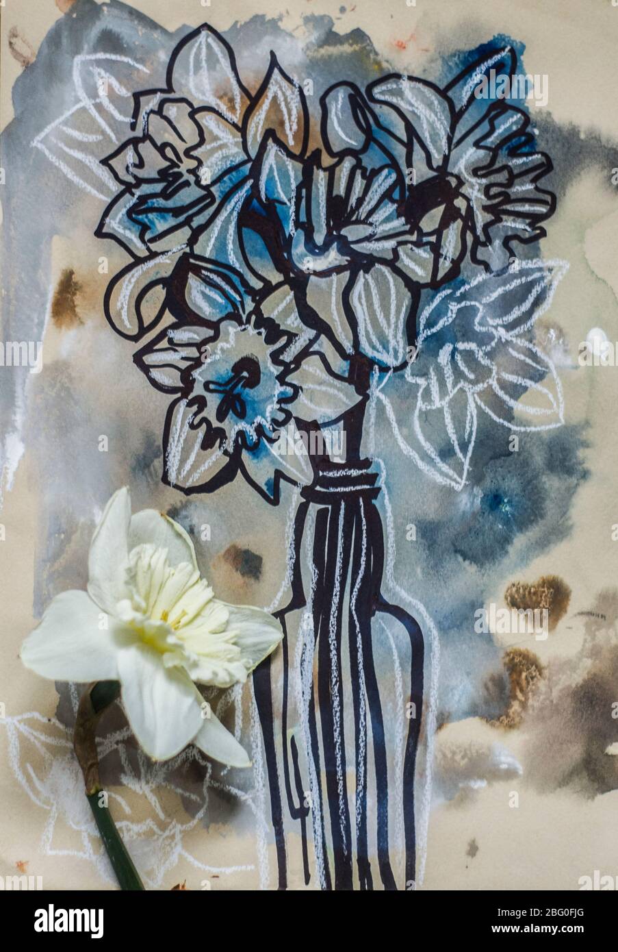 Disegno grafico a narcisi su sfondo grigio acquerello. Fiore giallo su sfondo grafico. Foto Stock