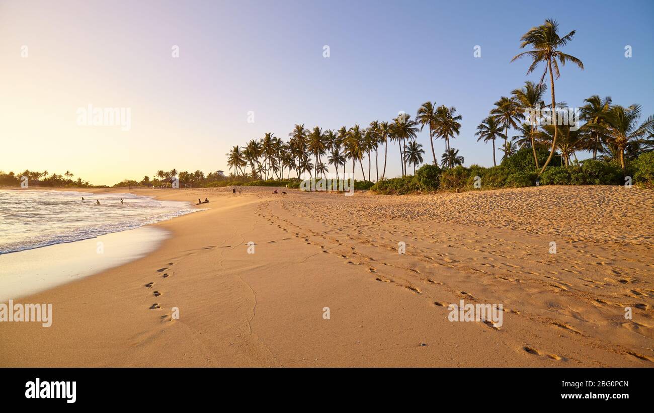 Spiaggia tropicale con palme al tramonto, Sri Lanka. Foto Stock
